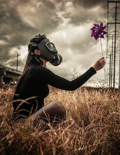 environmental damage